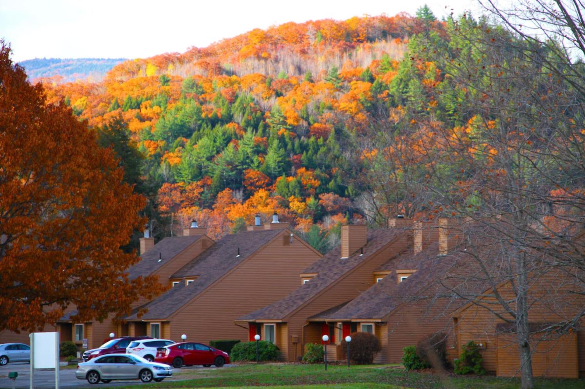 Cold Spring Plymouth Resort Ashland Exterior foto